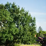 Seebadhof Berlin-rangsdorf