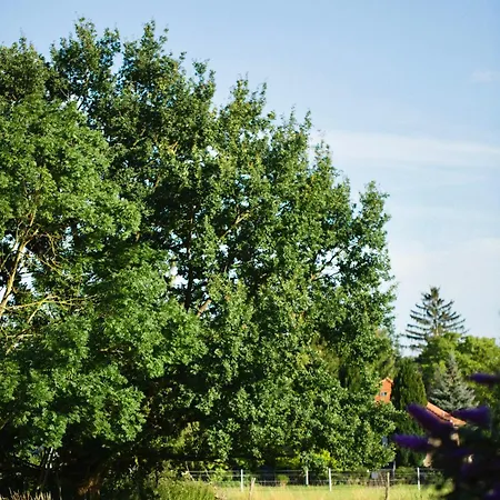 Seebadhof Berlin-rangsdorf