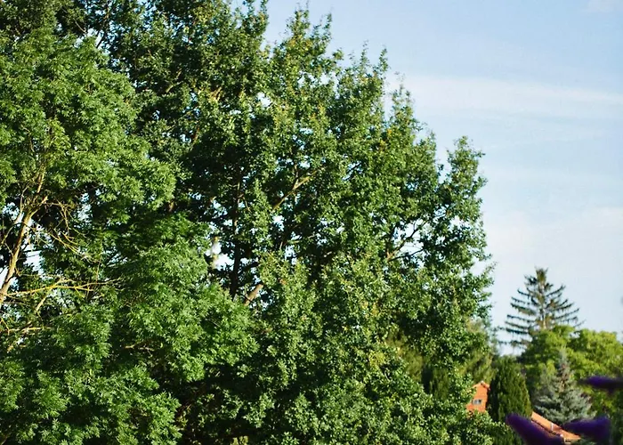 Seebadhof Berlin-rangsdorf